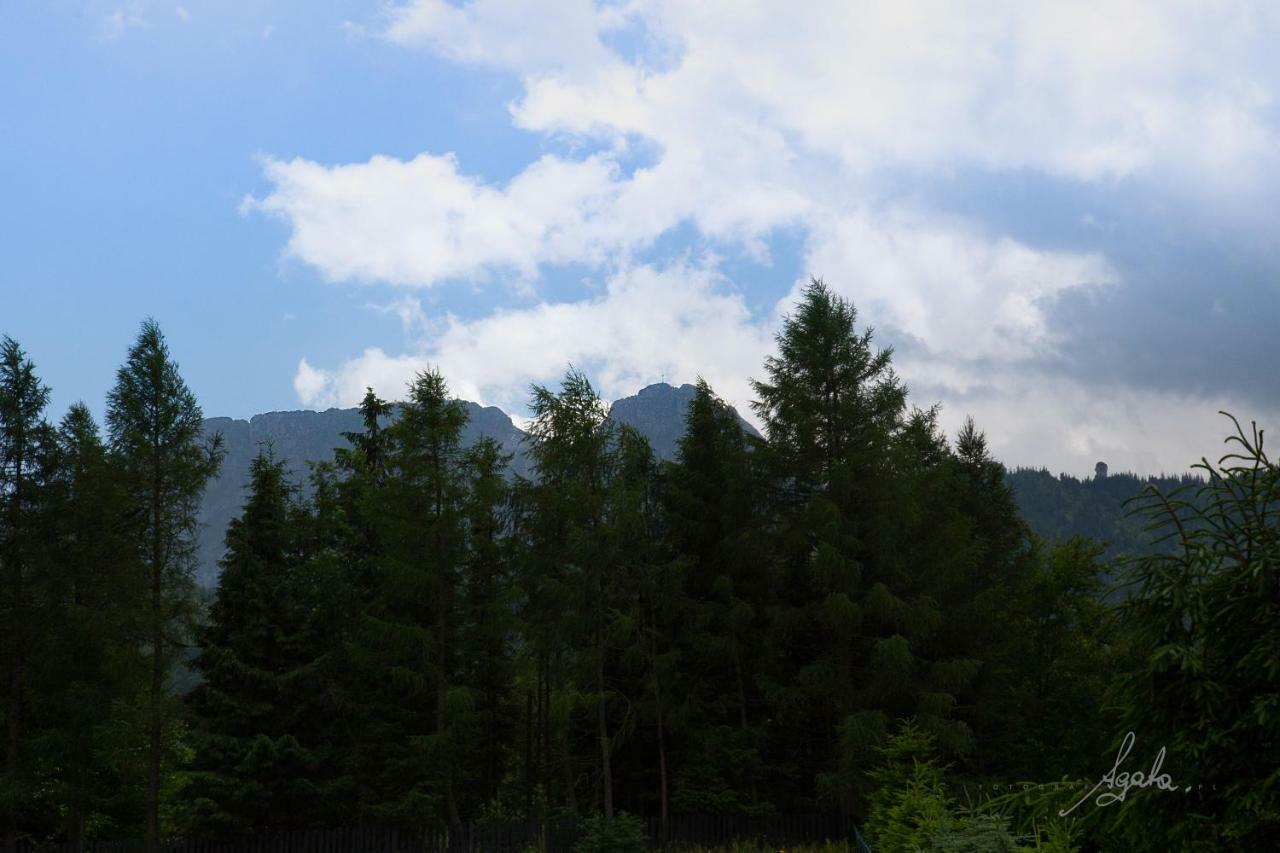 Apartament Krolewski Superior Z Sauna Zakopane Ngoại thất bức ảnh